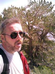 Harry ohne jegliche Anzeichen der Anstrengung und Ersch�pfung