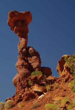 ANKLICKEN zum Vergr��ern !