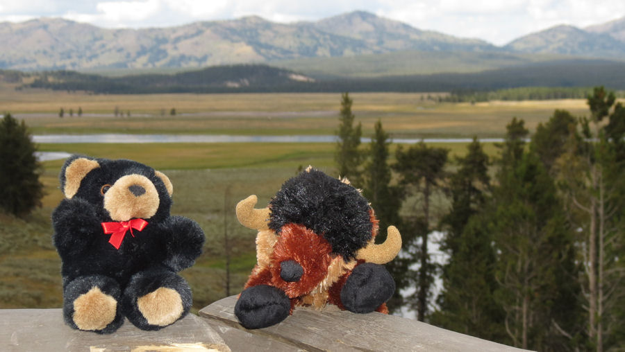 B�ren - Berge - Bisons - Titel