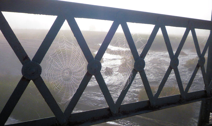 Spinnweben in einer Br�cke